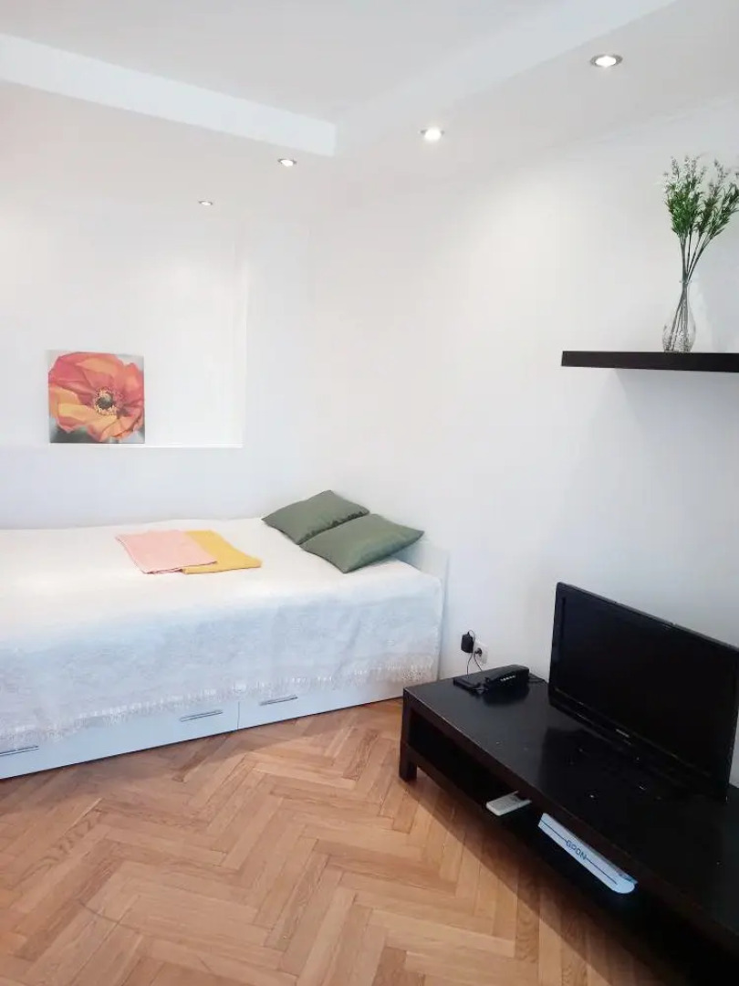 Апартаменты Студия на 4х на Белорусской