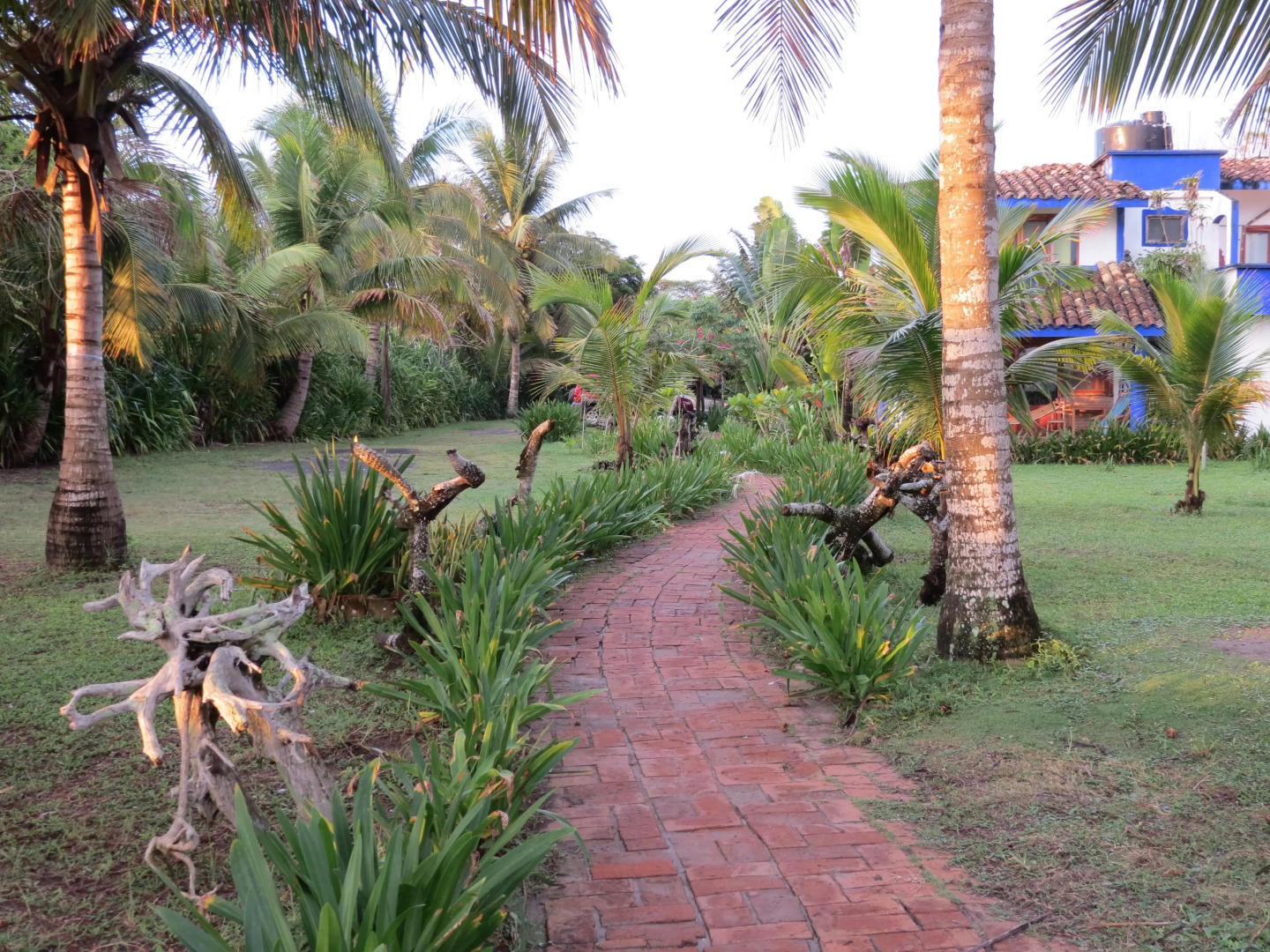 Отель Eco Coco Loco by Rotamundos