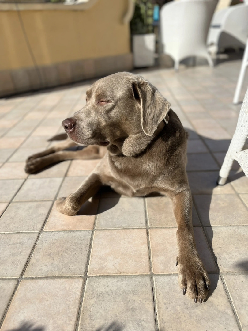 Ночлег и завтрак (B&B) Boutique B&B Barocchetto Romano Ostia Lido