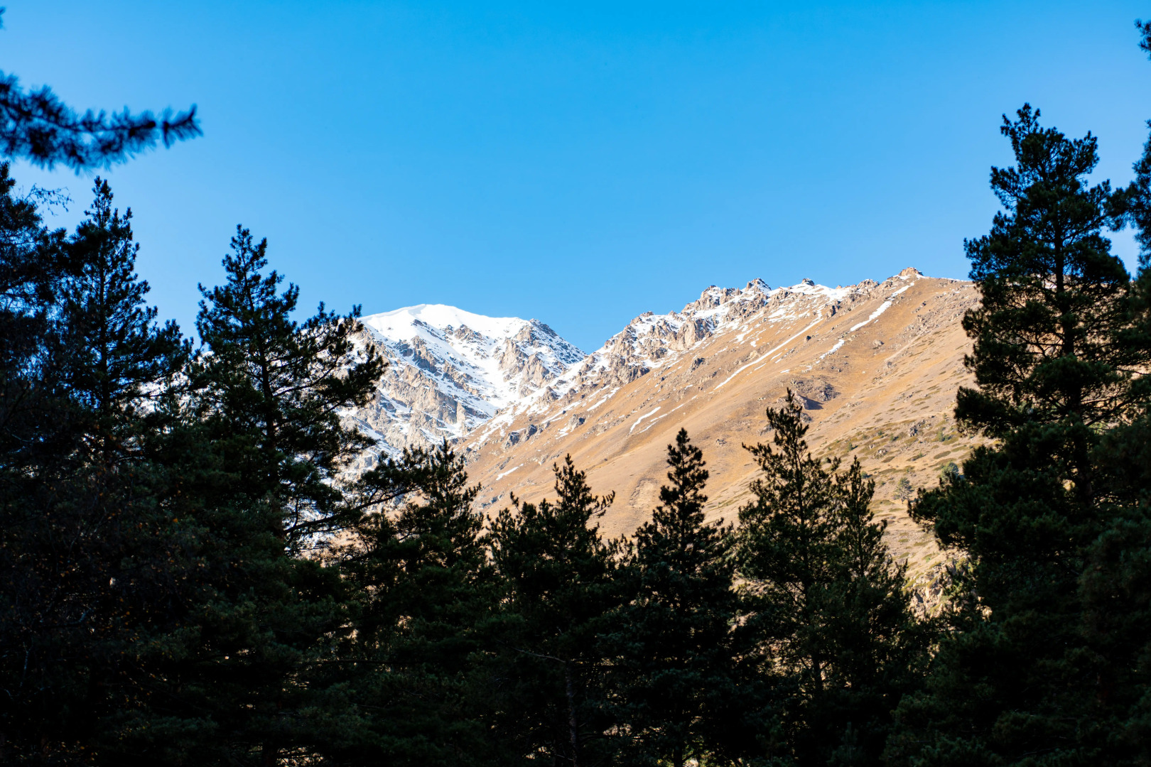 Шале СкайЭль