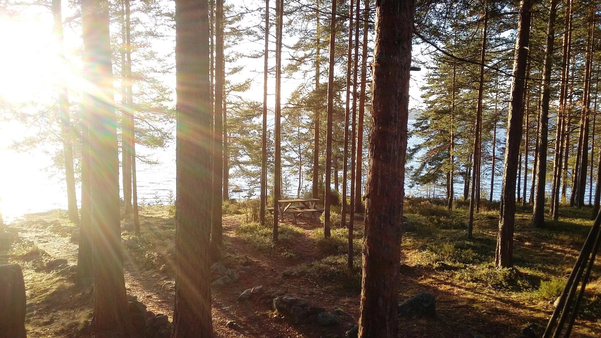 Коттедж Косалма