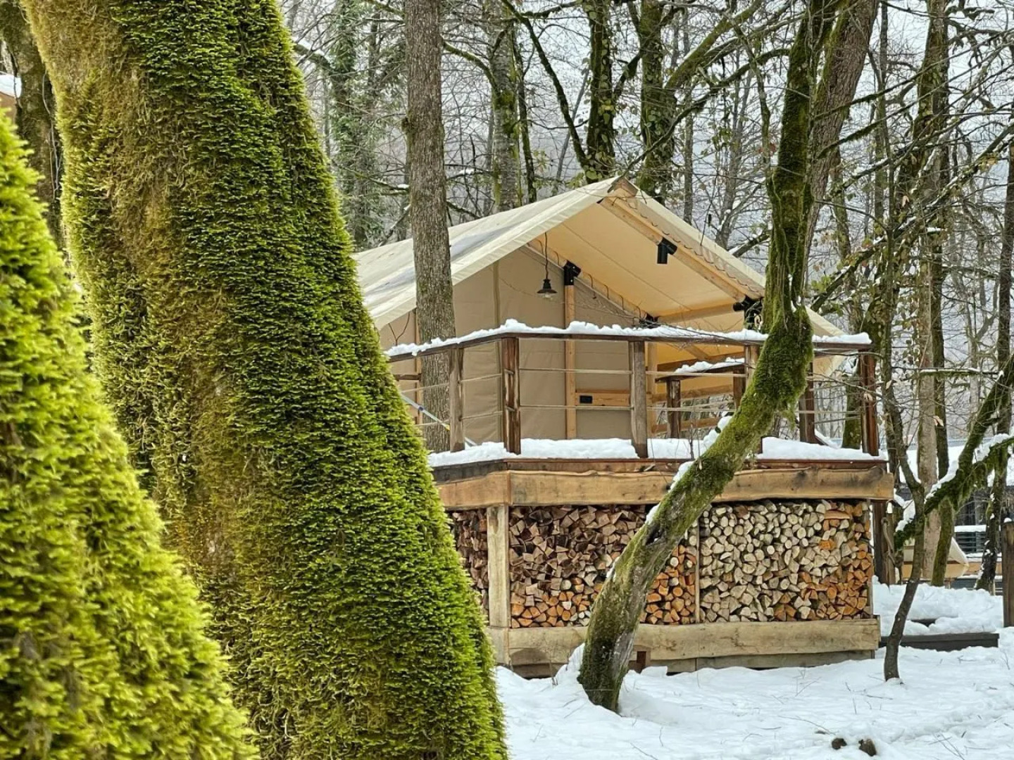 Глэмпинг Енот