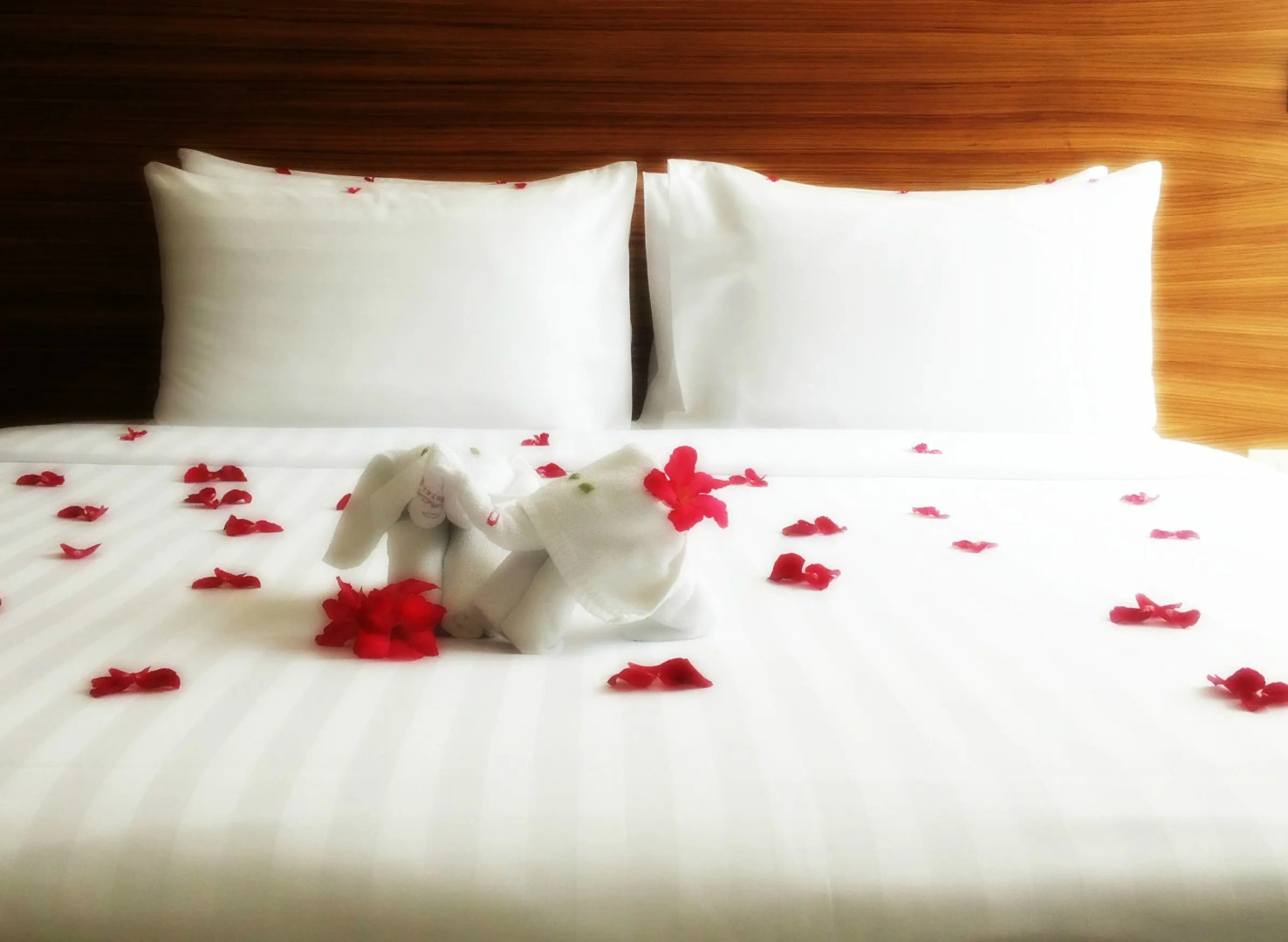 Отель Sacha's Hotel Uno