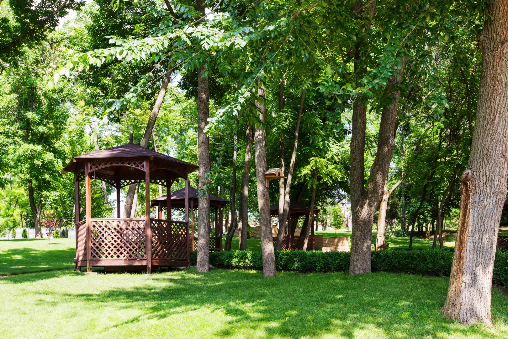 Парк-отель Надежда