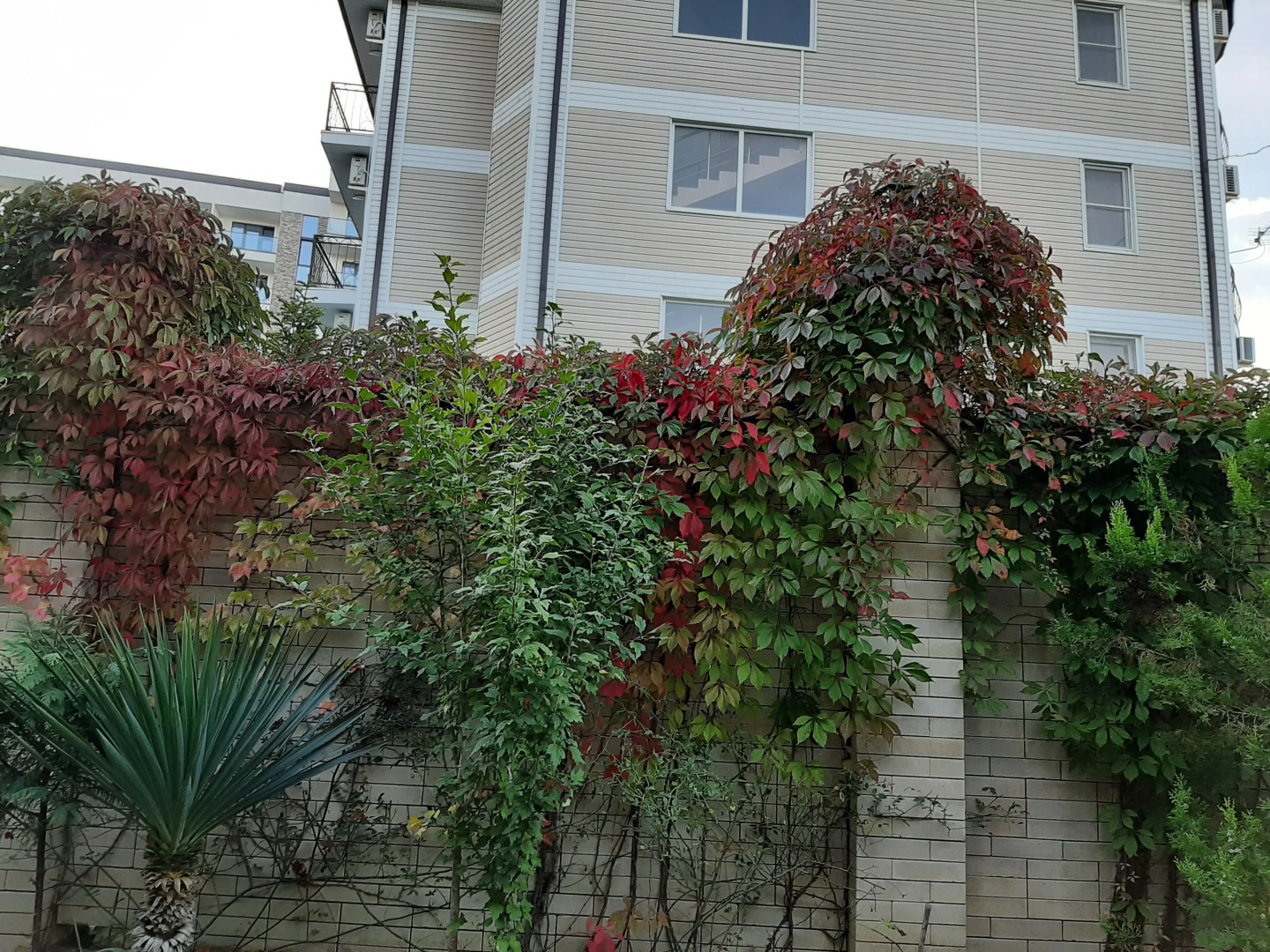 Гостевой дом Лили