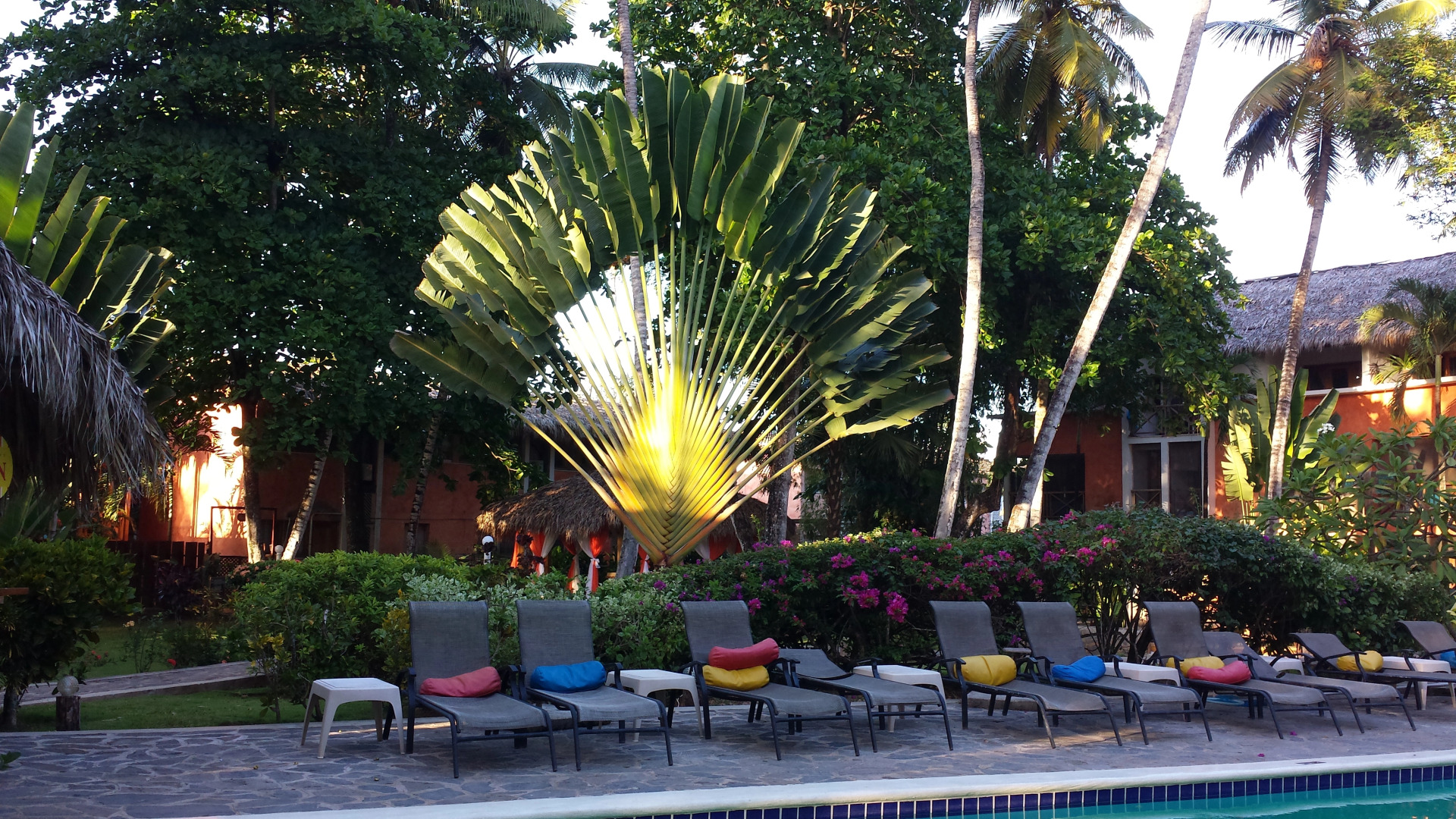 Апарт-отель Residencia del Paseo