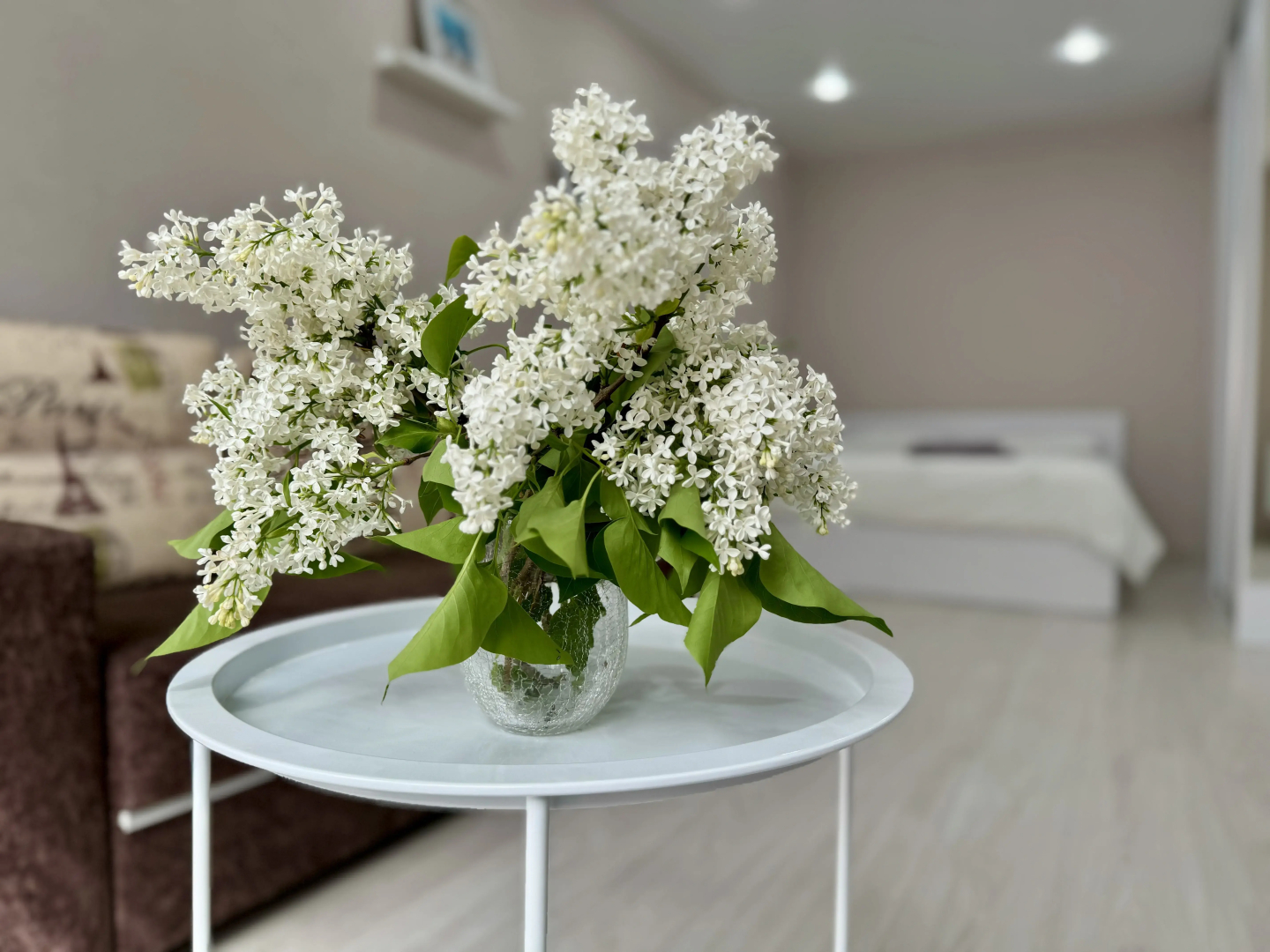 Апартаменты Chill Pill центр, самозаселение 24/7, 13г