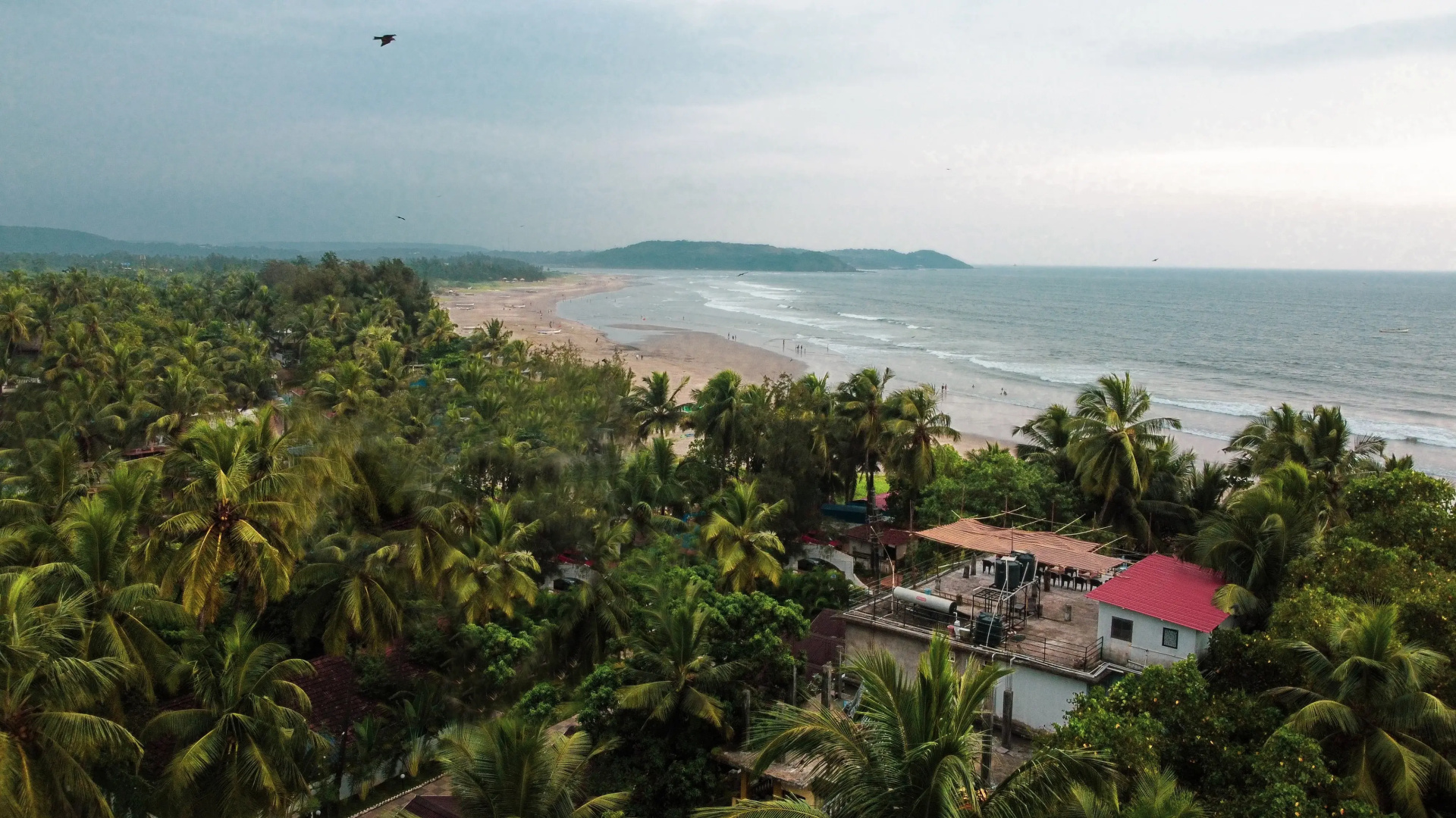 Отель Morjim Sea Waves