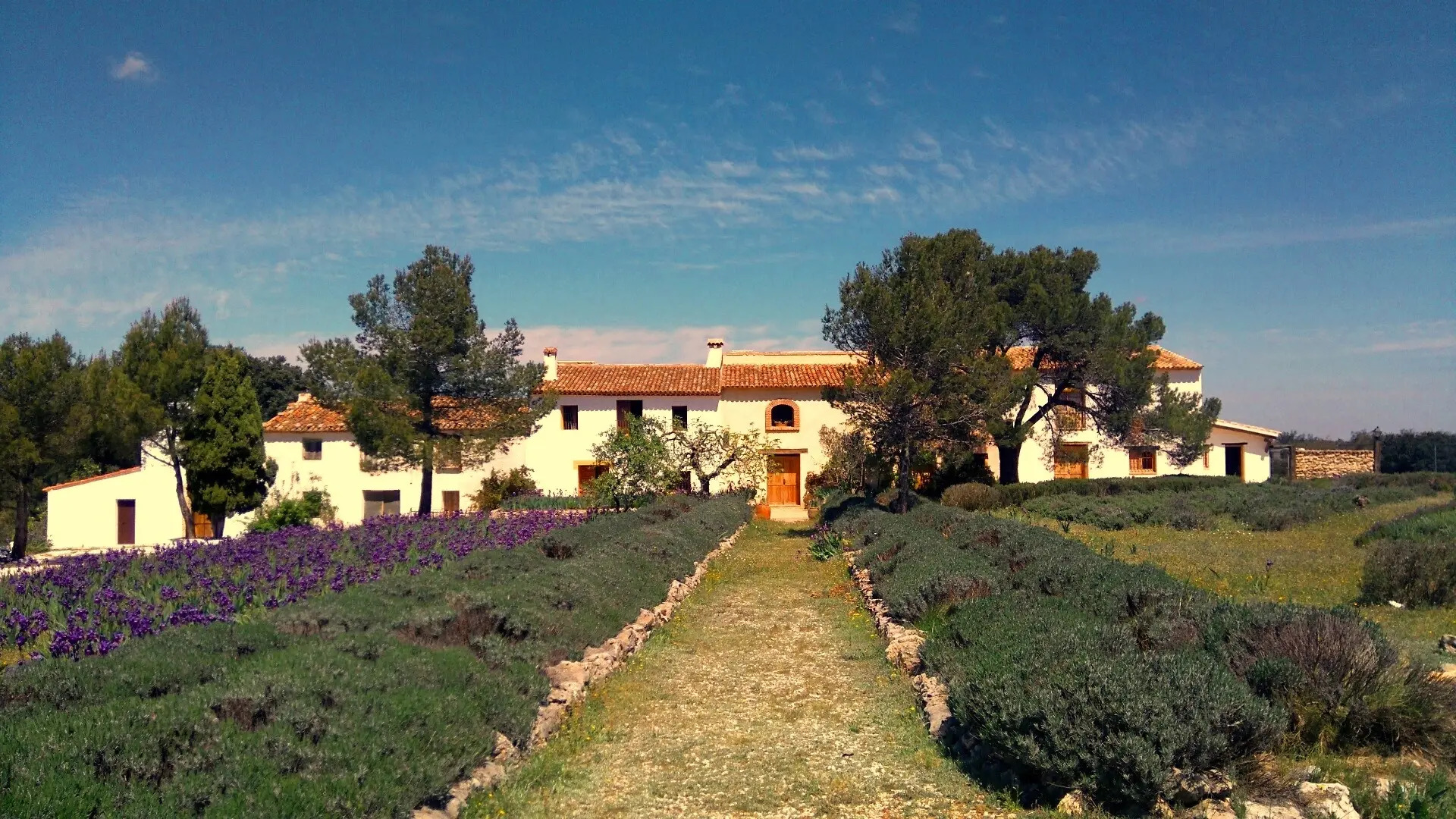 Бутик-Отель Casas Benali