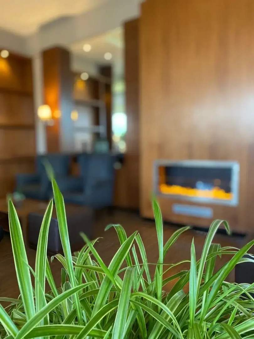 Sheraton Skypoint Luxe