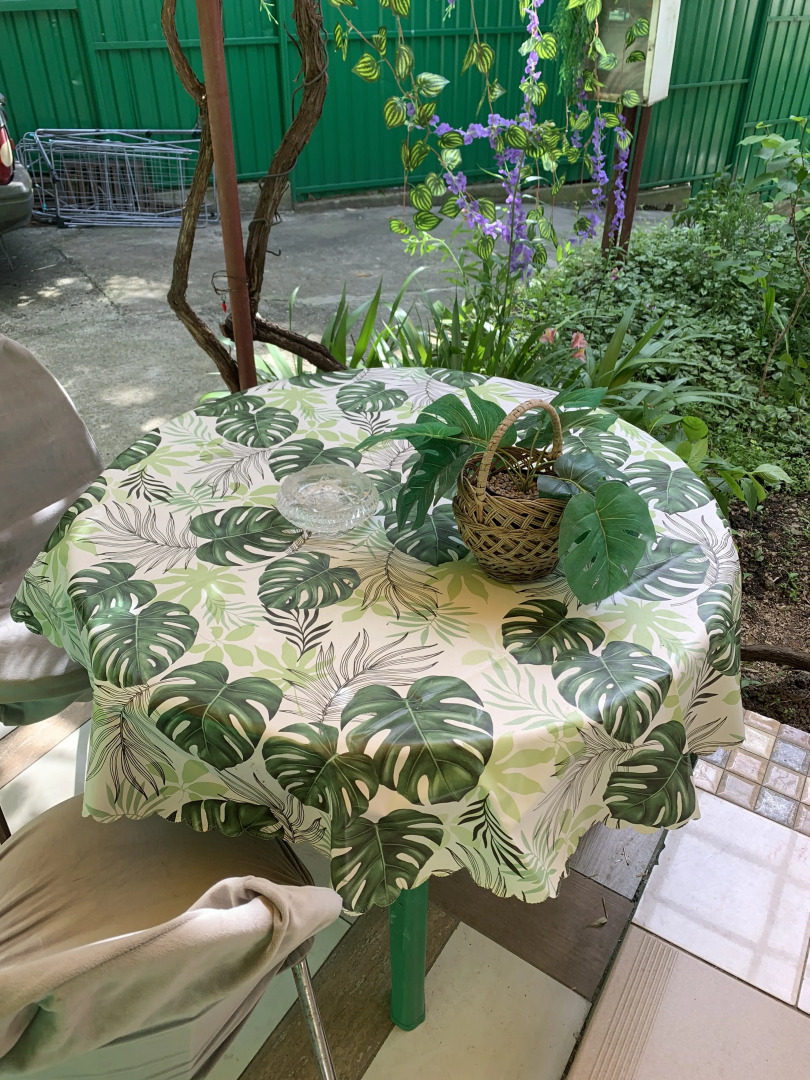 Гостевой дом Жемчужина у моря