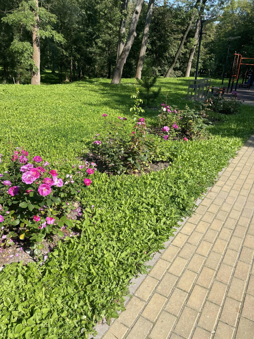 Квартира Квартира