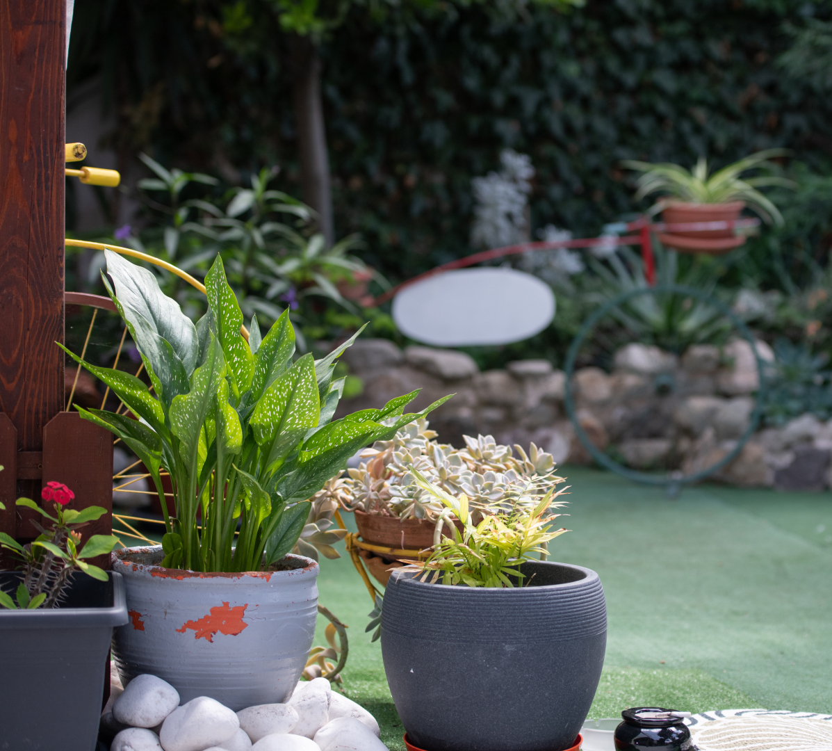 Апарт-отель Epohikon Studios