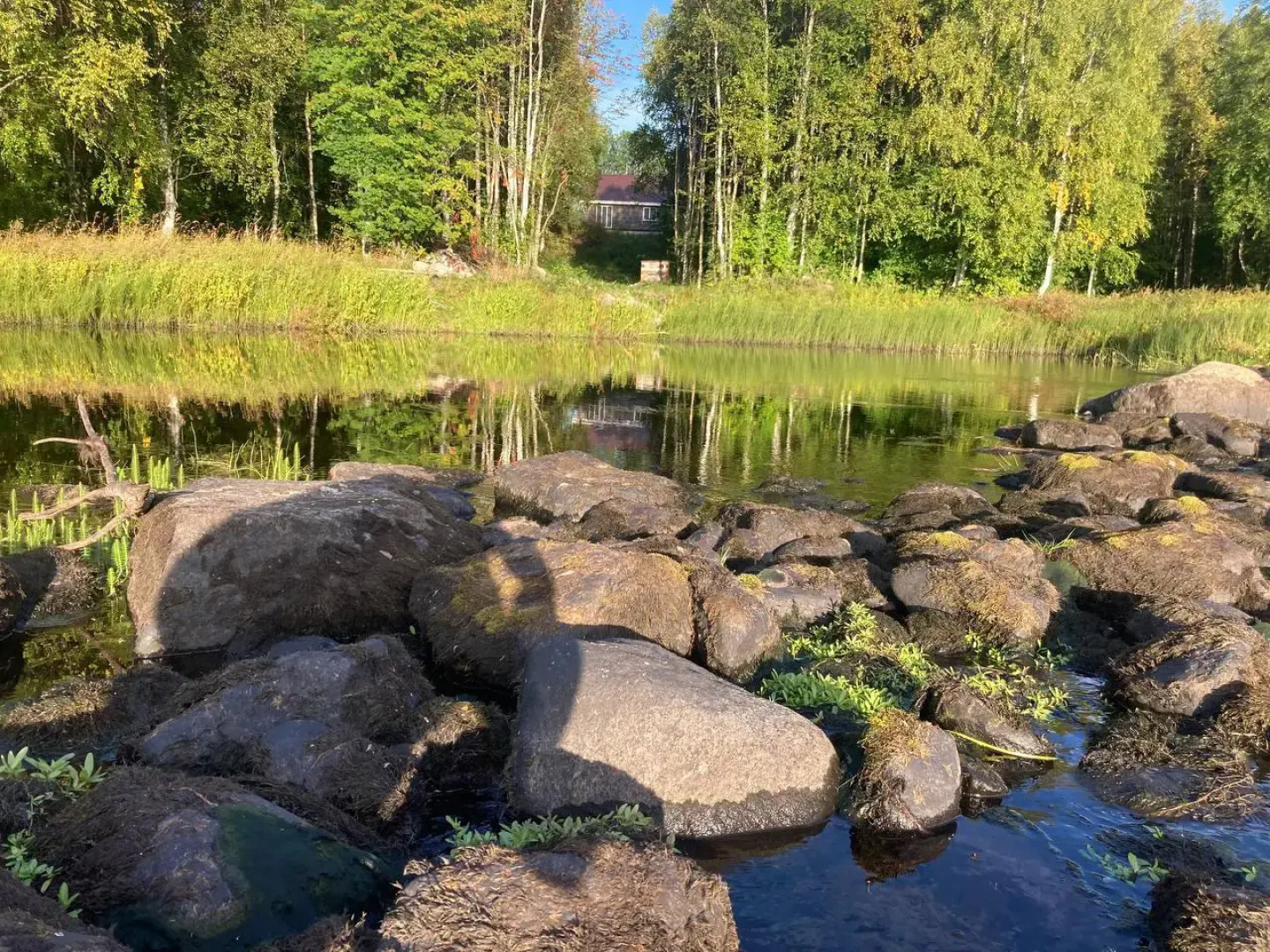 Частный дом Дом на Заречной