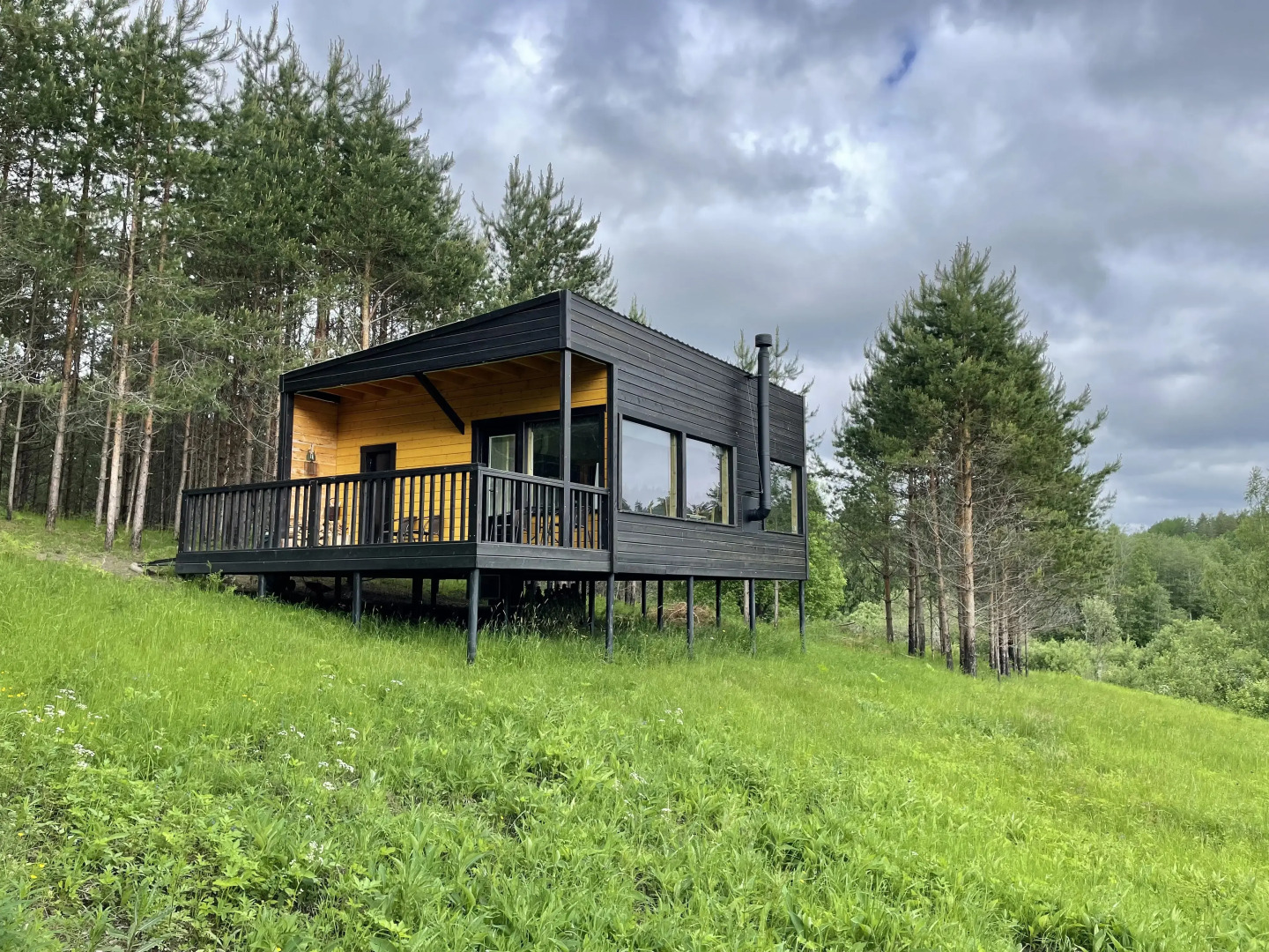 Частный дом Дом отдыха Холмово в диком лесу на берегу реки с панорамными окнами