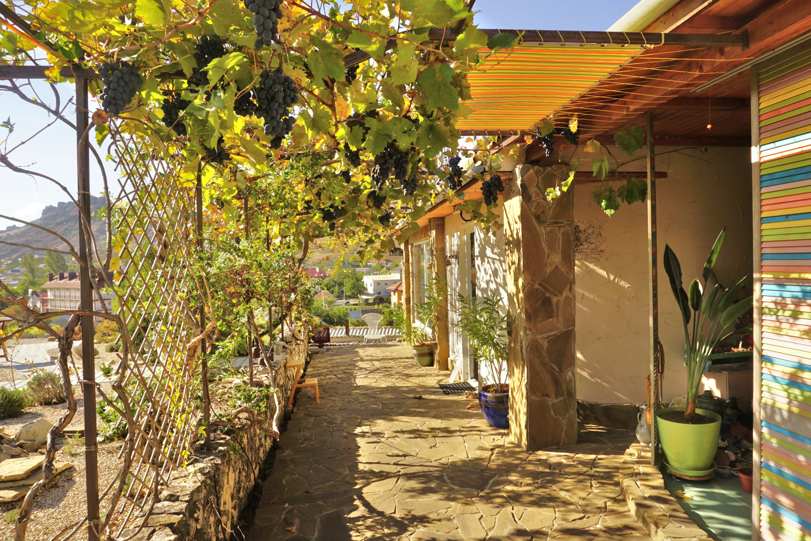 Dom Pod Zvezdopadom Guest House