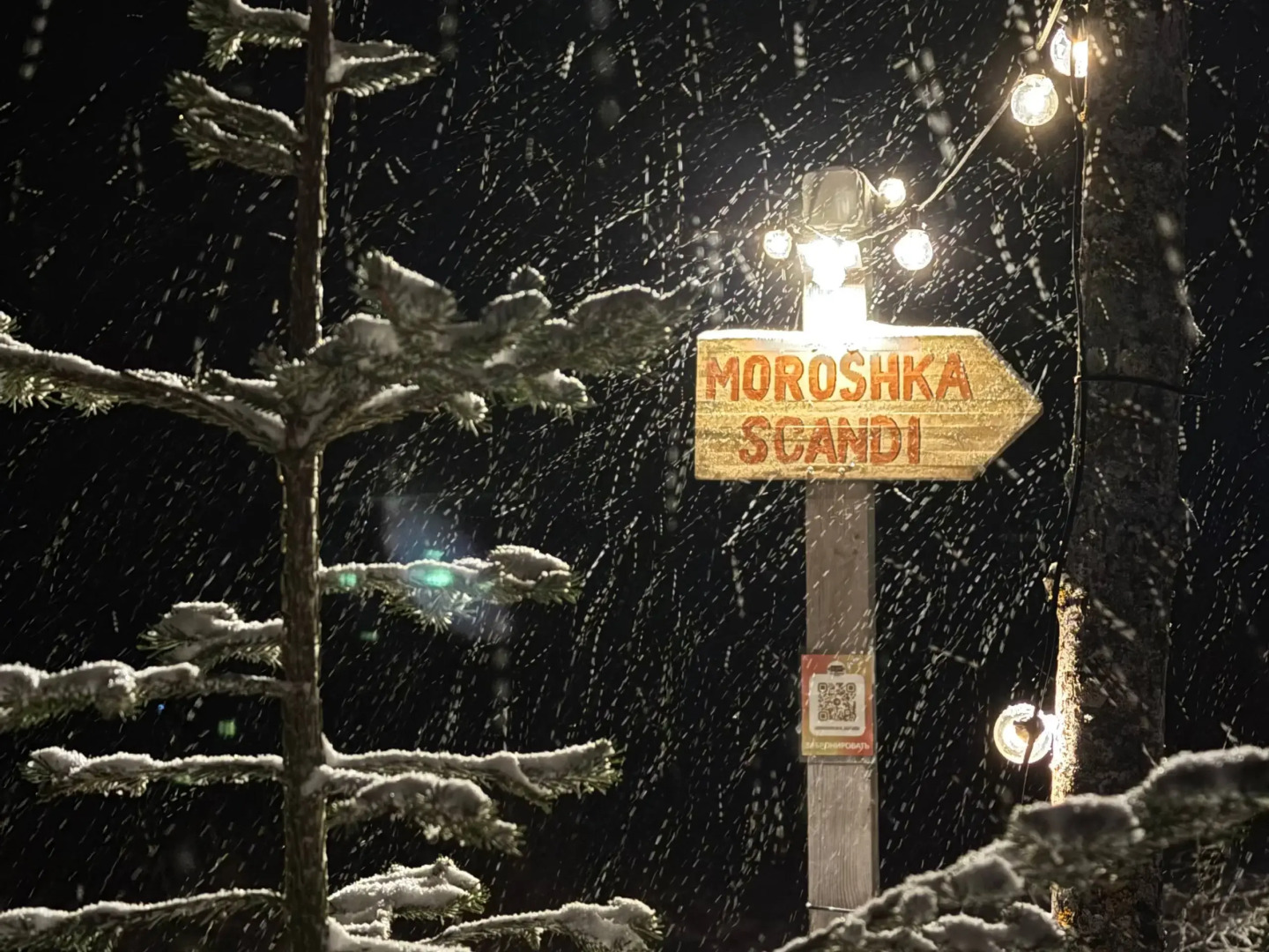 Частный дом Moroshka Scandi - домик для двоих с видом на лес