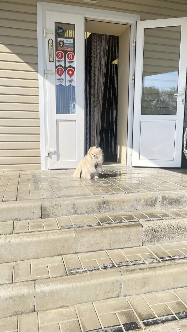 Гостевой дом Лилия