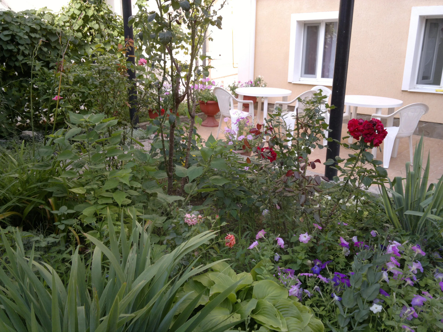 Гостевой Дом Атлас