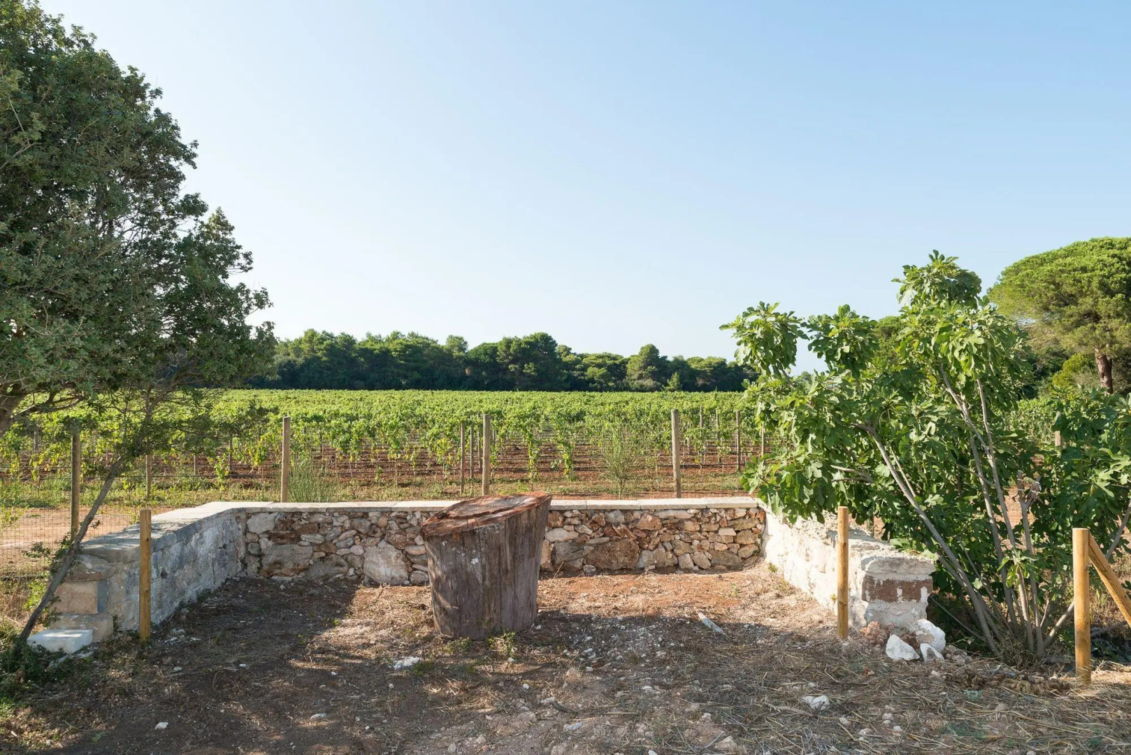 Masseria Mongiò dell'Elefante