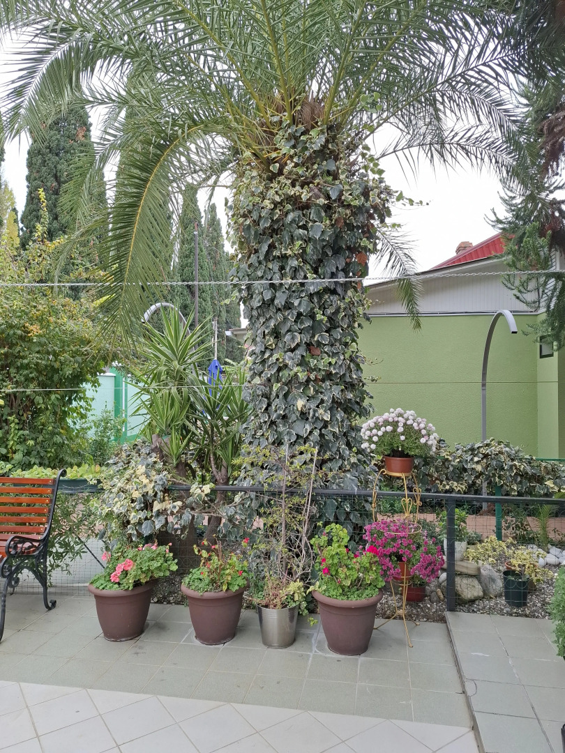 Гостевой дом Вероника