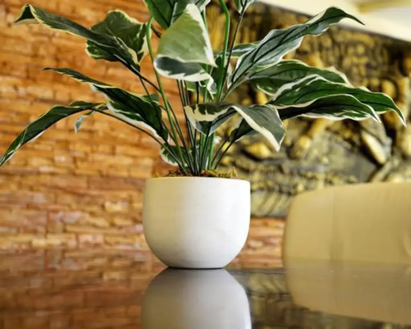 Отель Jaranya Hotel