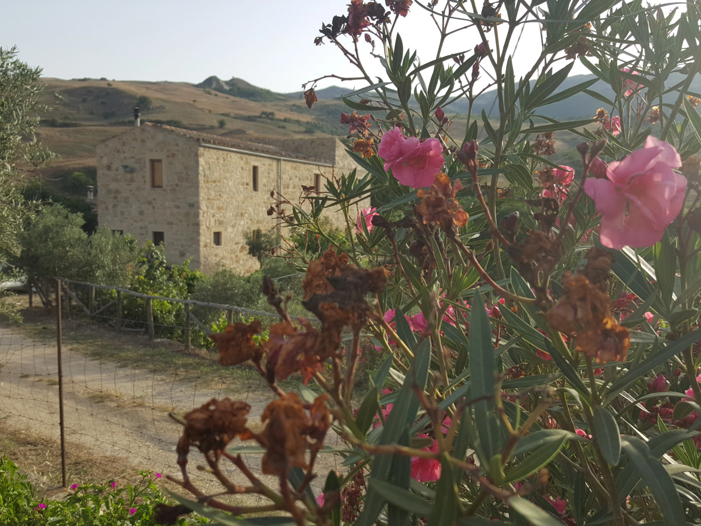 Agriturismo Casalvecchio