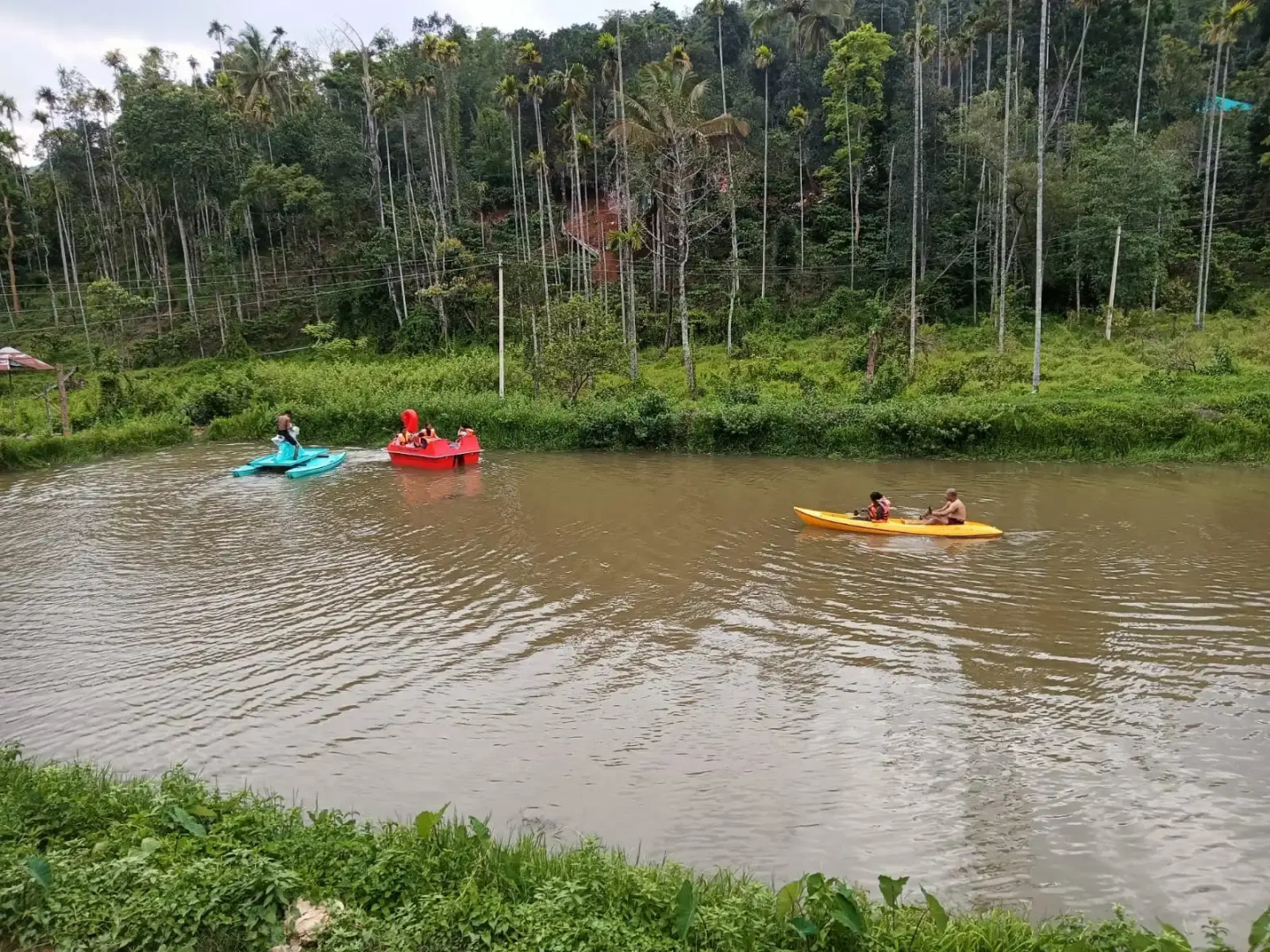 Курортный отель Jungle Valley Resort Wayanad