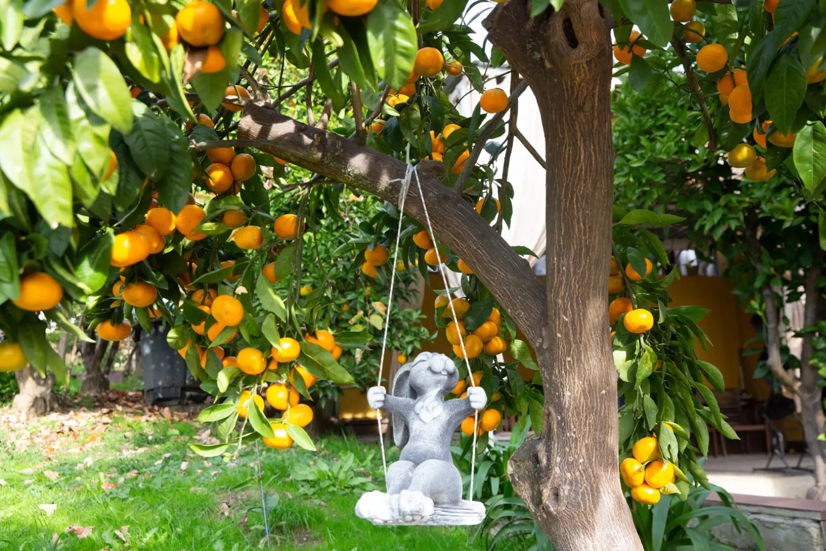 Мини-отель Мэри