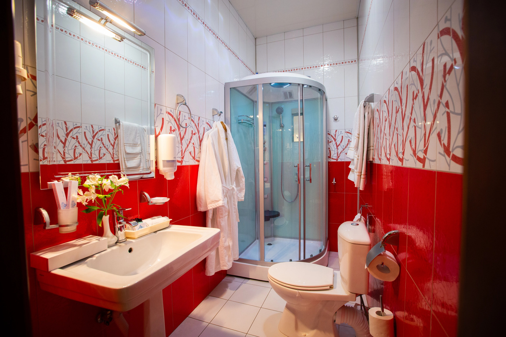 Отель Велнесс