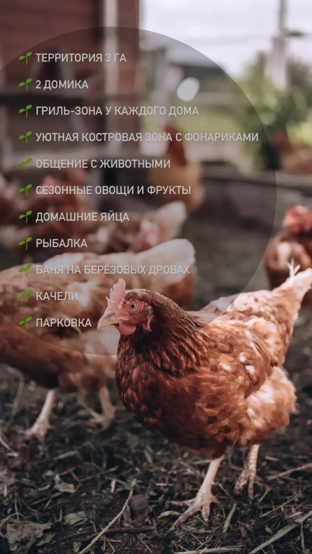 Гостевой дом Кевда