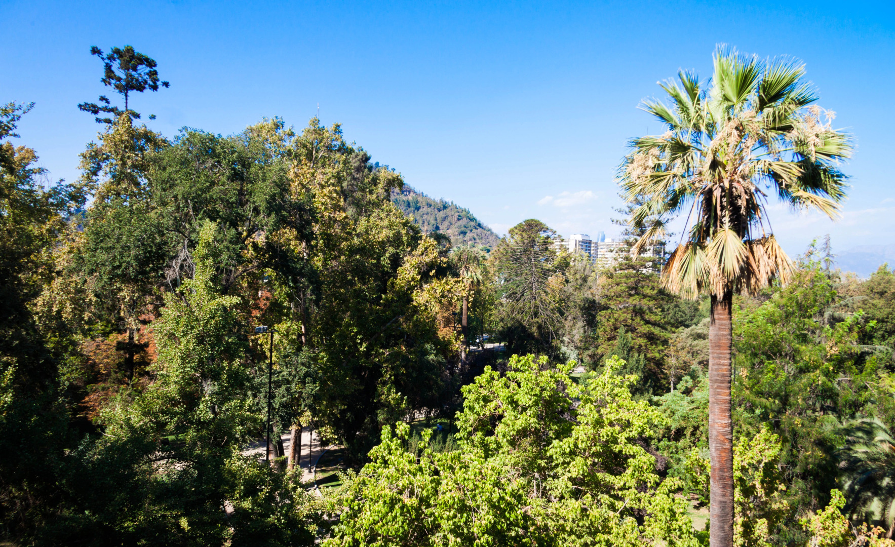 Отель Ismael 312