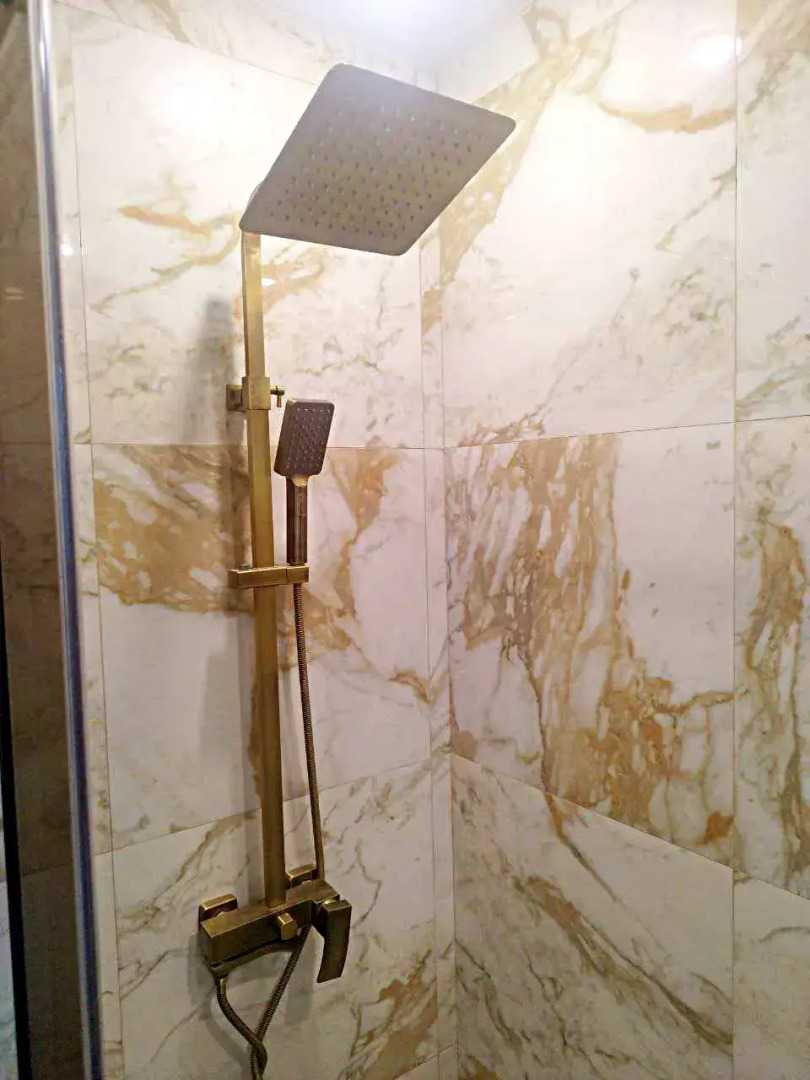 Квартира Проспект Имени Писателя Знаменского