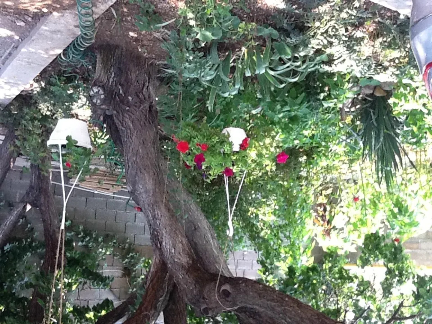 Гостевой Дом Рейд