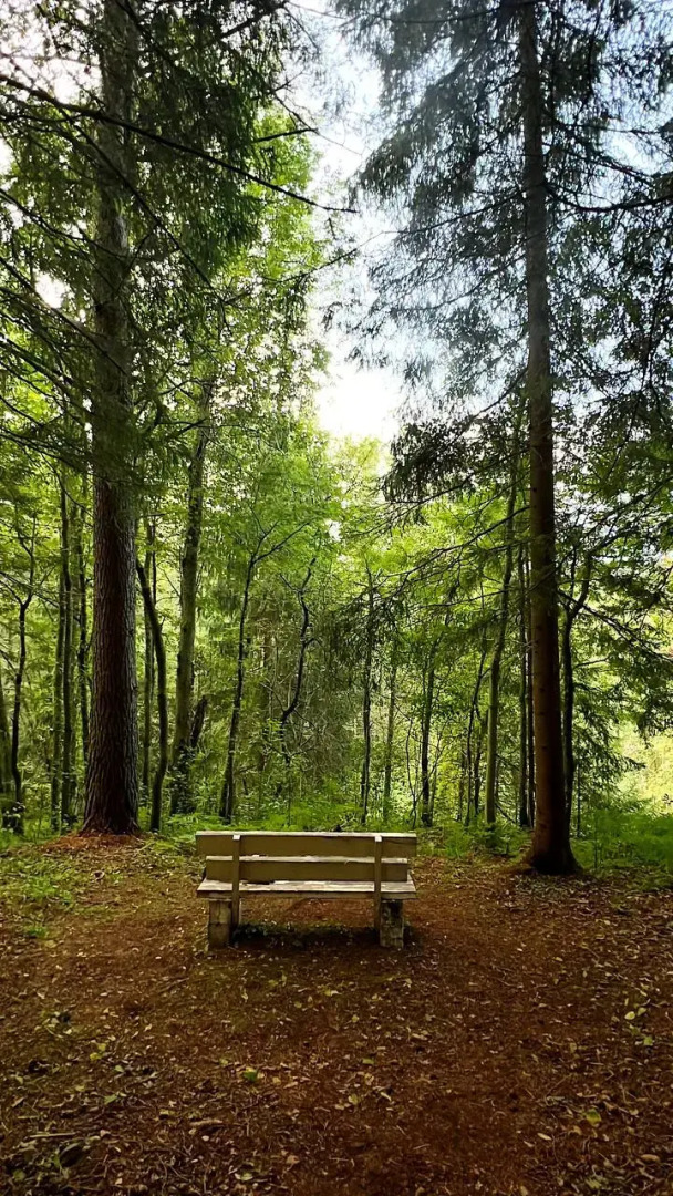 Апартаменты Валдай Пространство мечты