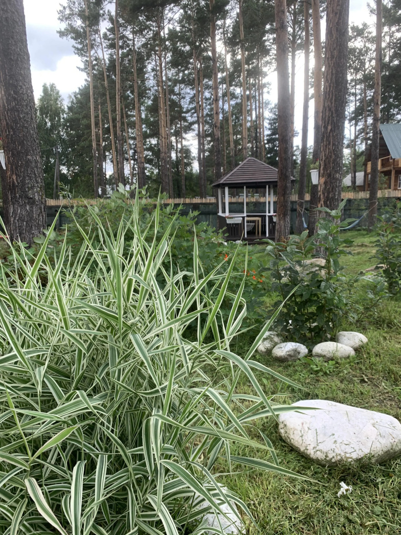 Мини-отель Подснежник