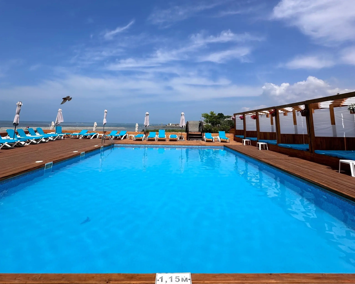 Апартаменты Уютные семейные в Сириусе