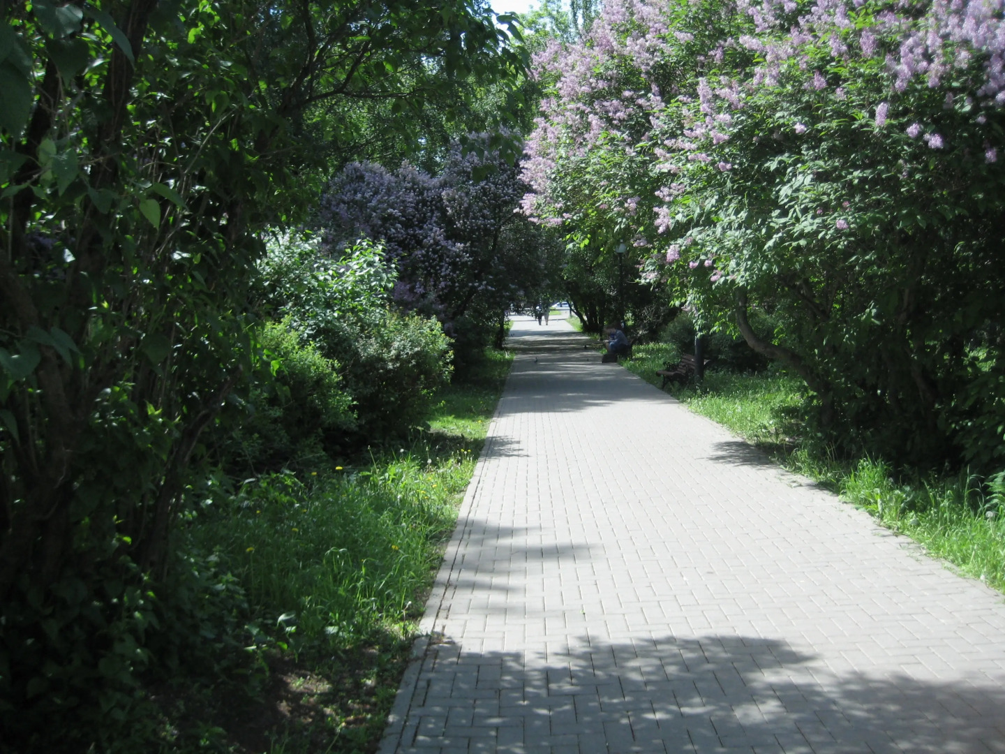 Отель Державный