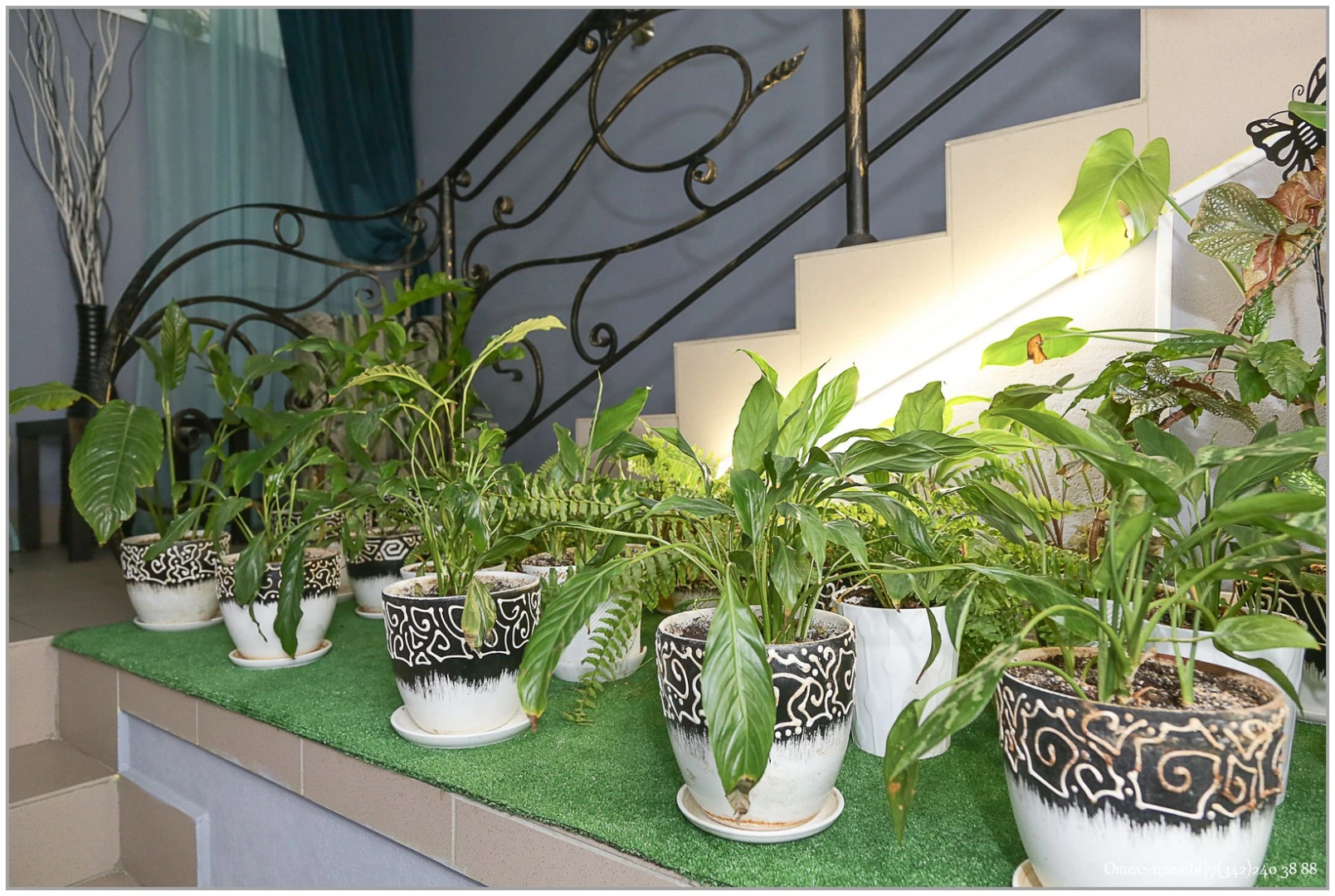 Отель ЦветЫ