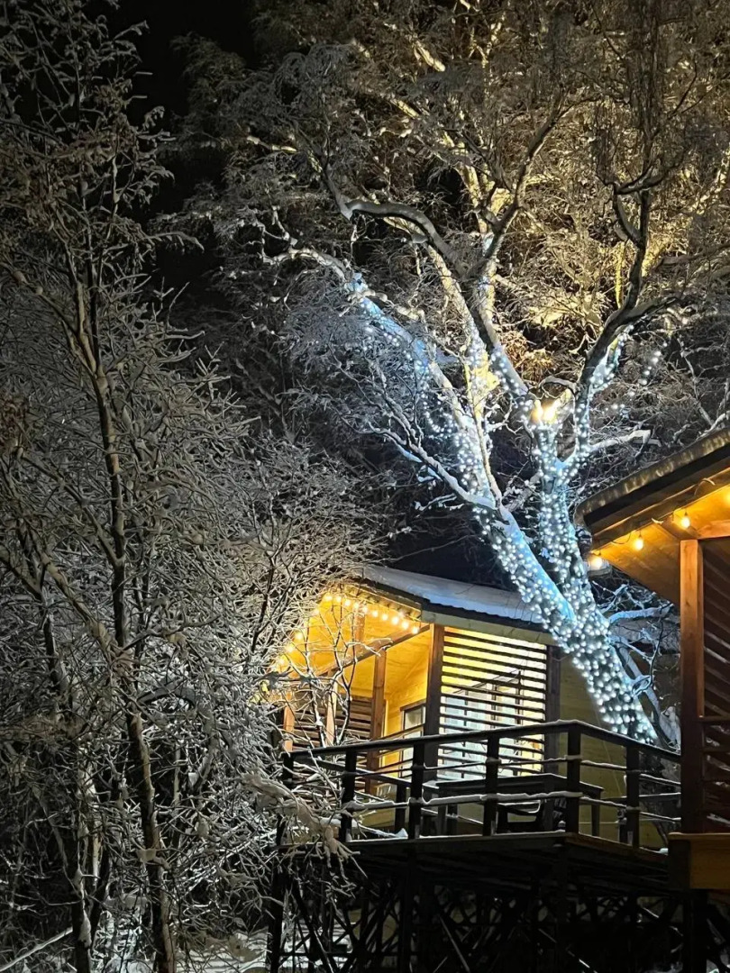 Частный дом Веселые гуси 5