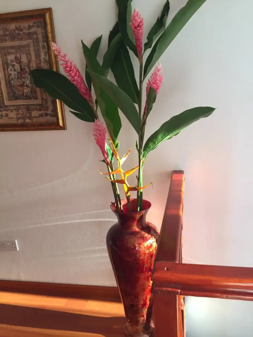 Бутик-вилла Villa Citronella