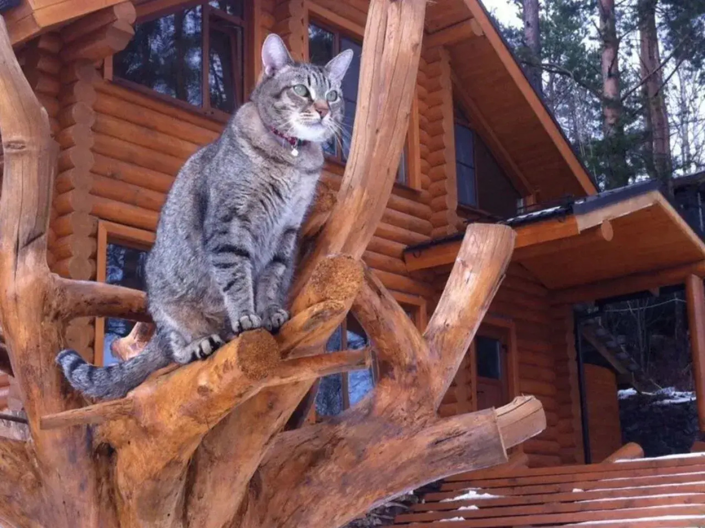Частный дом на берегу Лемболовcкого озеpа
