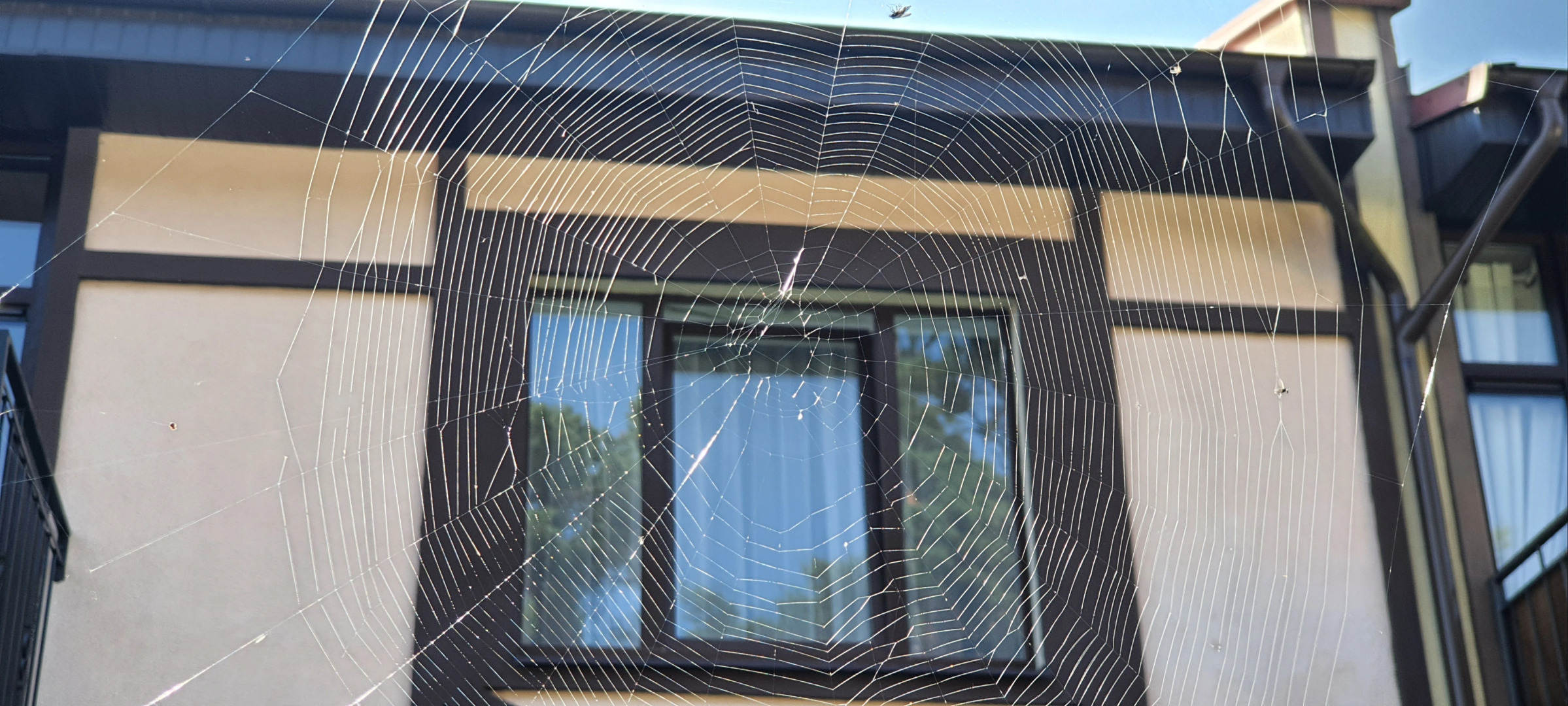 Частный дом на улице Лесная 36