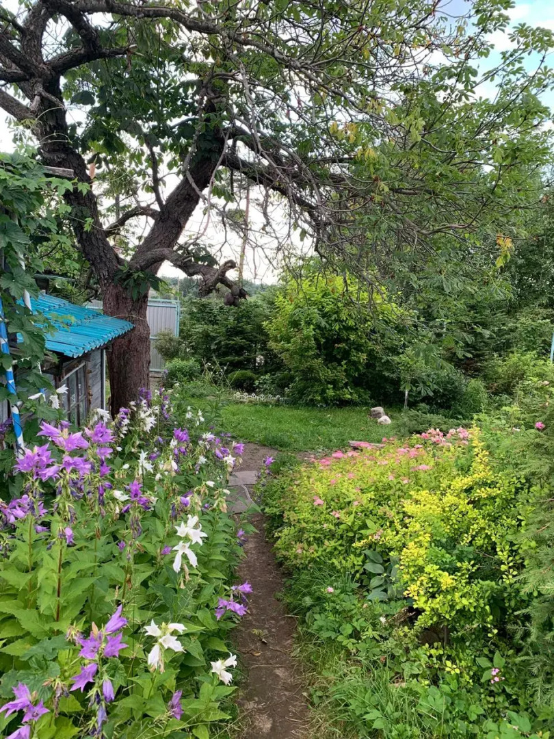 Частный дом в городе Петрозаводске с красивым уединённым участком и баней