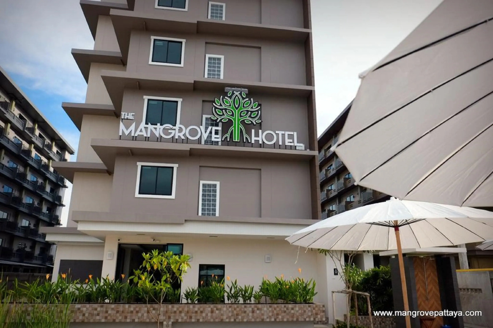 Отель The Mangrove