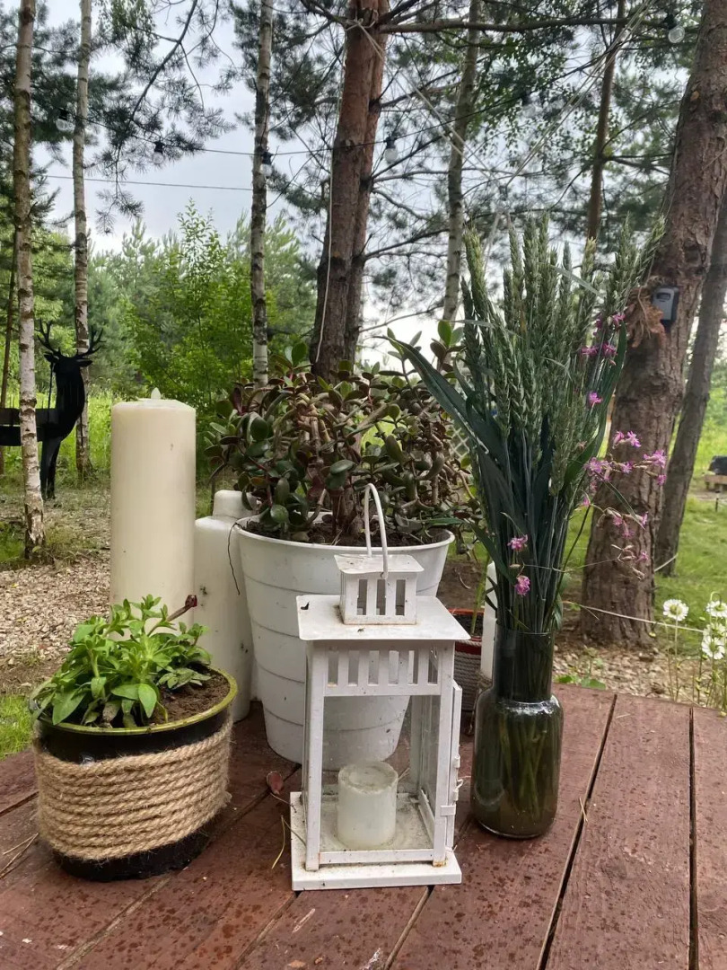 Глэмпинг TinyDacha Можжевельник