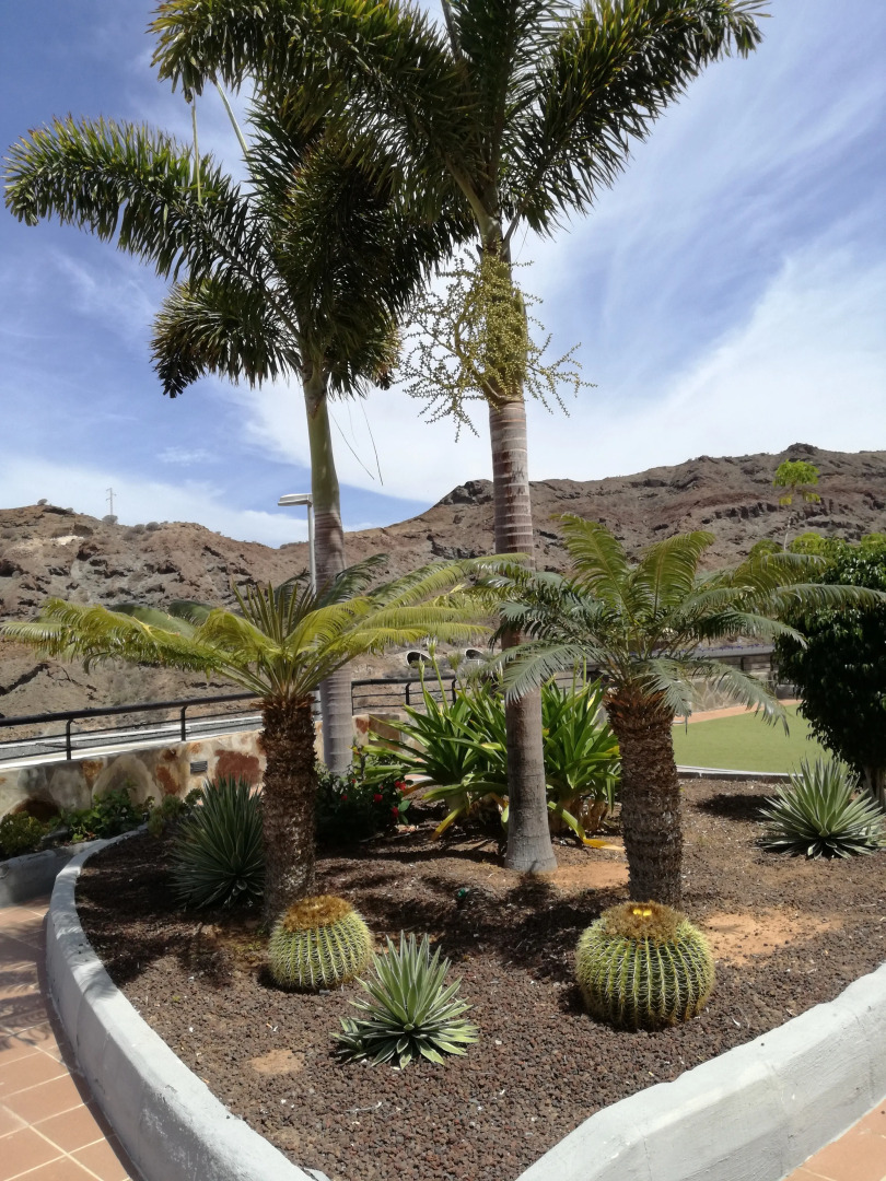 Апартаменты Mapi´s