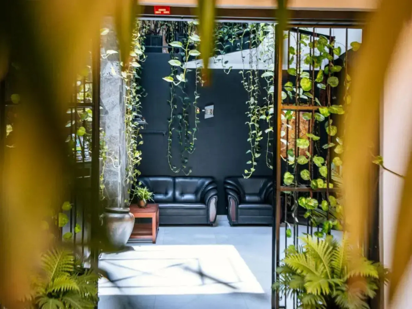 Отель The Panorama