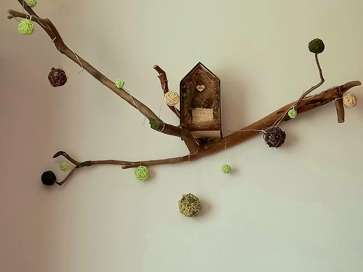 Подсолнух у Моря