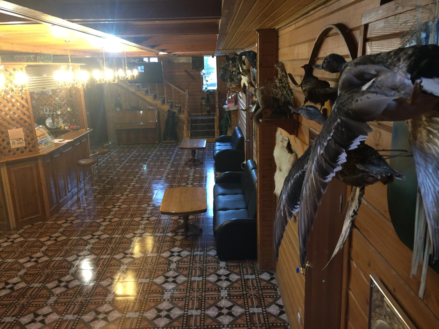 Мини-Отель Колизей